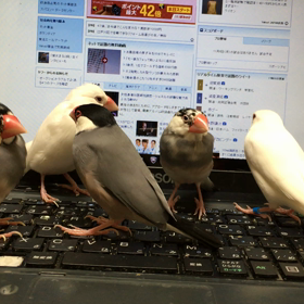 あったかいの画像