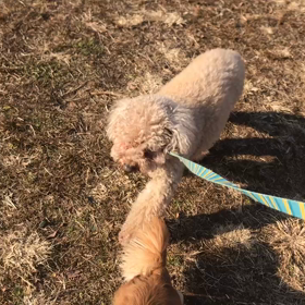 ♪お散歩動画♪代々木公園♪の画像