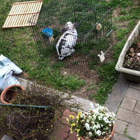 平の高速ホリホリの画像