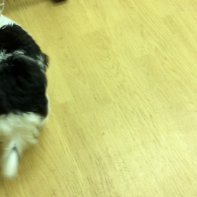 あたし失敗しないんで。の画像