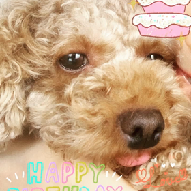 ☆最近の体調☆の画像