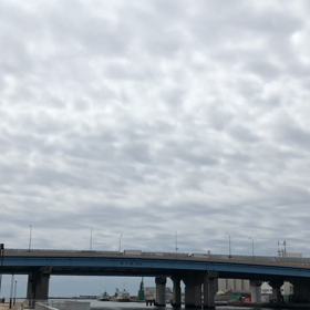 きょうの交通量／動画の画像