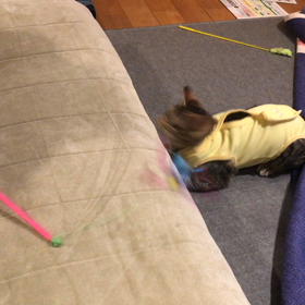 復活です❣️の画像