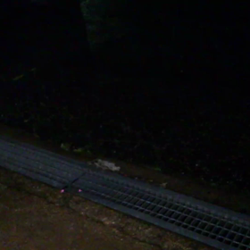 チビタが居ない。の画像