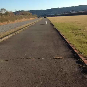 ひめ大好きの画像