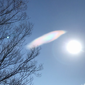 彩雲と　パワーある木　奥宮編　その２の画像