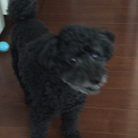 たかしと♡の画像