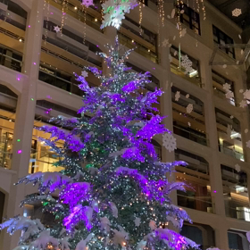 東京駅丸の内JPタワークリスマスイルミネーションの画像