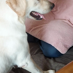 クレールお姉さんになる❗の画像