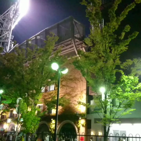 勝利の六甲おろしが聞こえます～今日は山本彩バージョンの画像