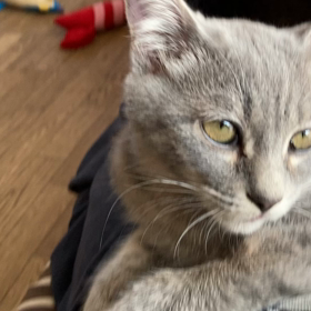 ムティアン投薬30日目　レロレロ現象？？の画像