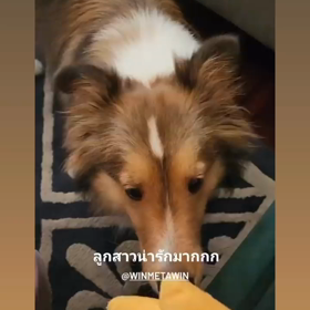 20220422 Win IGSの画像