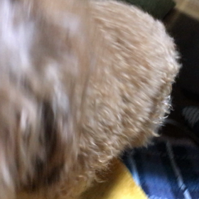 それは、昨日の真夜中のこと！の画像