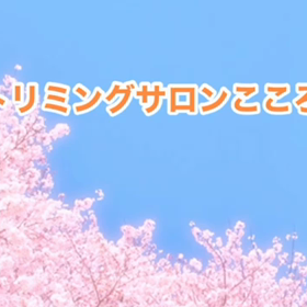 3月　〜スライドショー〜の画像