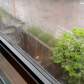 雹が降りましたの画像