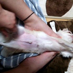 年明け風呂上がりの画像