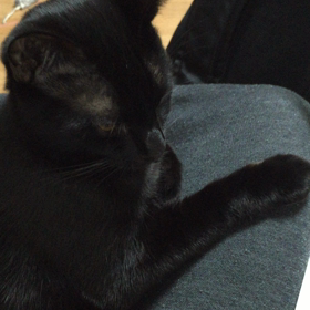 初めての年越し。の画像