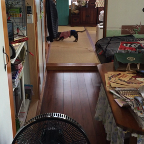 ジャンプの画像