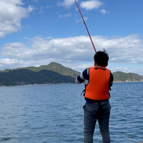 ブログ始めました。の画像