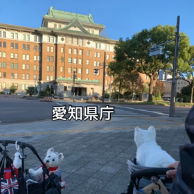 名古屋テレビ塔の画像