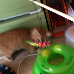 唸りながら その2の画像