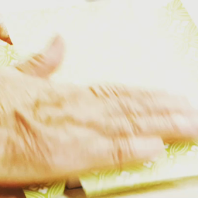 貼り箱職人の魅せどころ、貼り作業の画像