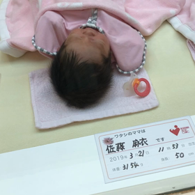 初動画　2019/3/21の画像