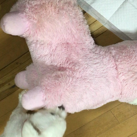 戦いでちゅ！の画像