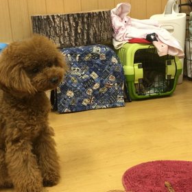 緊張のサイン。の画像