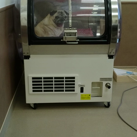 歩けたり歩けなかったりの画像