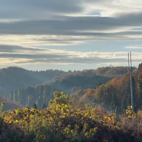 2020年11月18日（水曜日）今朝のおわらサーキットの画像
