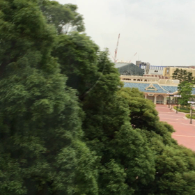 新型リゾートライナーの車窓から。ランドが現れた瞬間‼️の画像