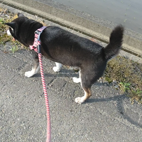 今日で終わりの画像