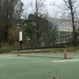 今朝のオイラよの横乗りスケート  レールの画像