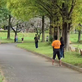 10/8 ミニ駅伝大会（中継所付近）⑧の画像