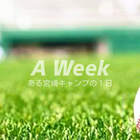 宮崎キャンプ編集の画像