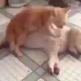 【桜田明和のもみほぐし（イメージです）】 の画像