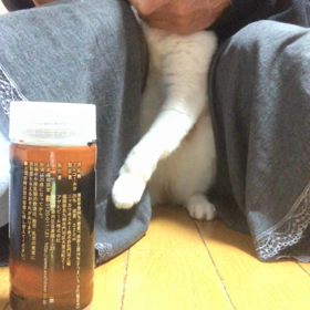 デールの爪切り動画！の画像