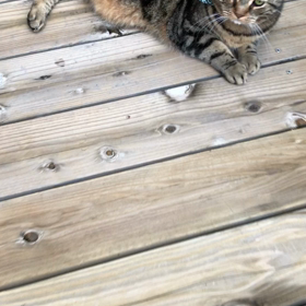 ごろーんと一回転。の画像