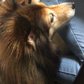 仕事納めの画像