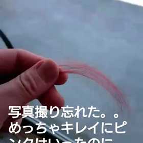 写真撮り忘れた、の画像