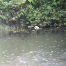 週末は嵐の予感…の画像