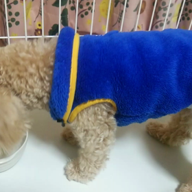 食べた後 腰を抜かす？の画像