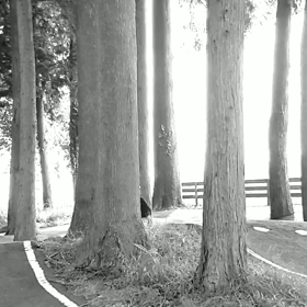 スケートボードの画像