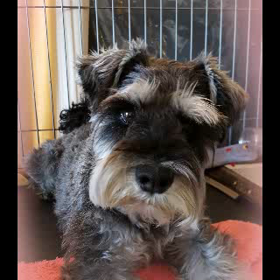 ビビりくんをちょっと克服の画像