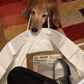 痛い目に合っちゃったよの画像