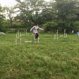 セリーヌの変化の画像