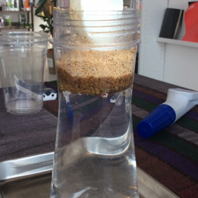 レドキシング2470ハビッツ実験しました‼︎の画像