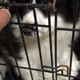 出発前夜の画像