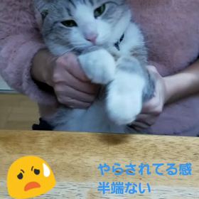 2018/01/01謹賀新年の画像